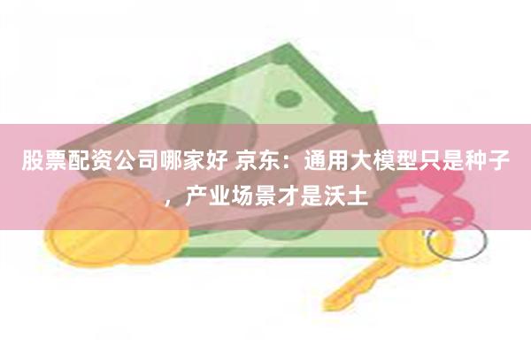 股票配资公司哪家好 京东：通用大模型只是种子，产业场景才是沃土