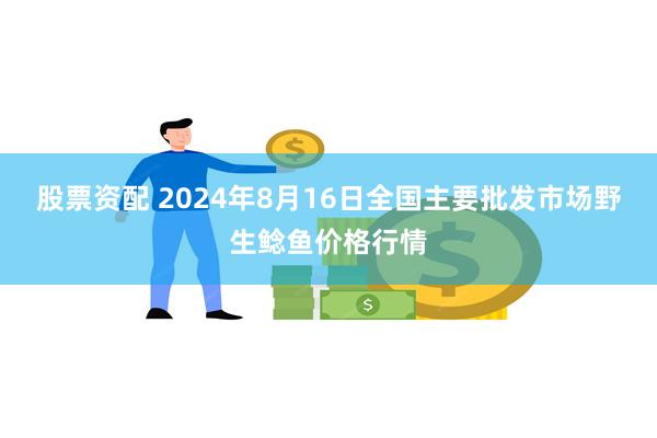 股票资配 2024年8月16日全国主要批发市场野生鲶鱼价格行情