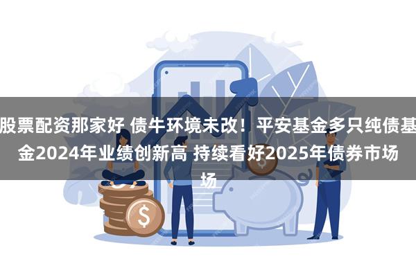 股票配资那家好 债牛环境未改！平安基金多只纯债基金2024年业绩创新高 持续看好2025年债券市场