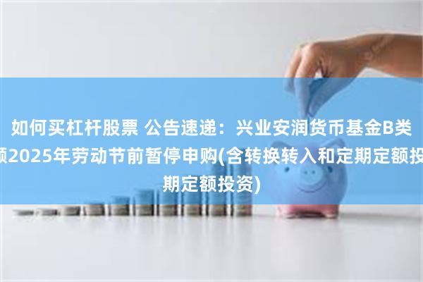 如何买杠杆股票 公告速递：兴业安润货币基金B类份额2025年劳动节前暂停申购(含转换转入和定期定额投资)
