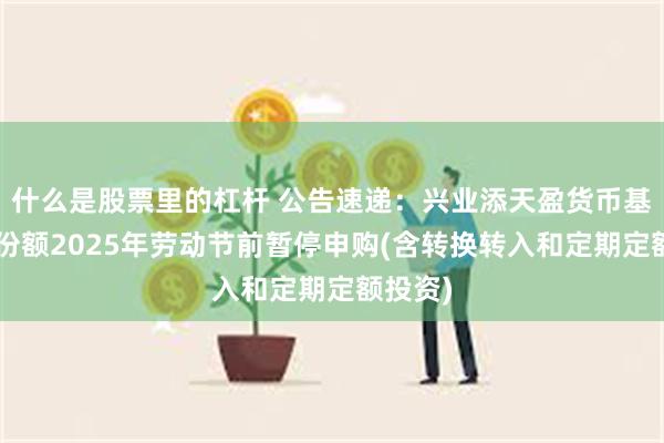 什么是股票里的杠杆 公告速递：兴业添天盈货币基金B类份额2025年劳动节前暂停申购(含转换转入和定期定额投资)