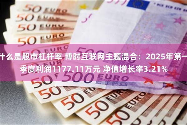 什么是股市杠杆率 博时互联网主题混合：2025年第一季度利润1177.11万元 净值增长率3.21%