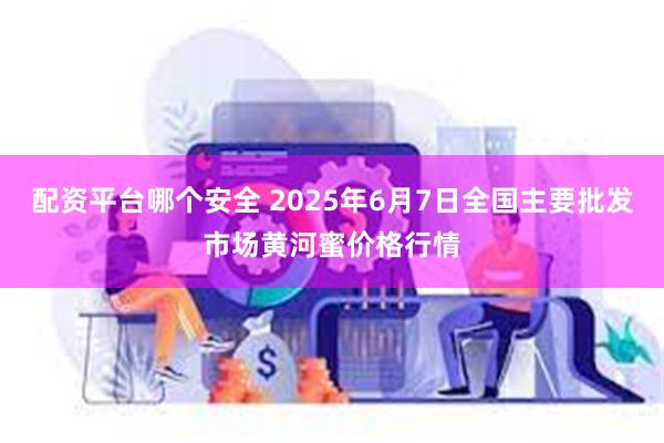 配资平台哪个安全 2025年6月7日全国主要批发市场黄河蜜价格行情
