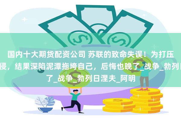 国内十大期货配资公司 苏联的致命失误！为打压中国贸然入侵，结果深陷泥潭拖垮自己，后悔也晚了_战争_勃列日涅夫_阿明