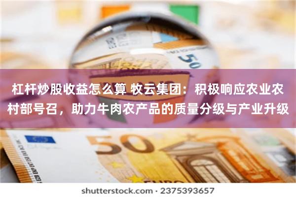杠杆炒股收益怎么算 牧云集团：积极响应农业农村部号召，助力牛肉农产品的质量分级与产业升级
