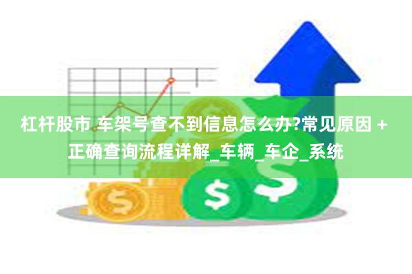 杠杆股市 车架号查不到信息怎么办?常见原因 + 正确查询流程详解_车辆_车企_系统